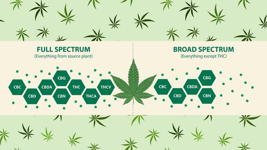 Broad-Spectrum vs. Full-Spectrum CBD: Understanding the Key Differences